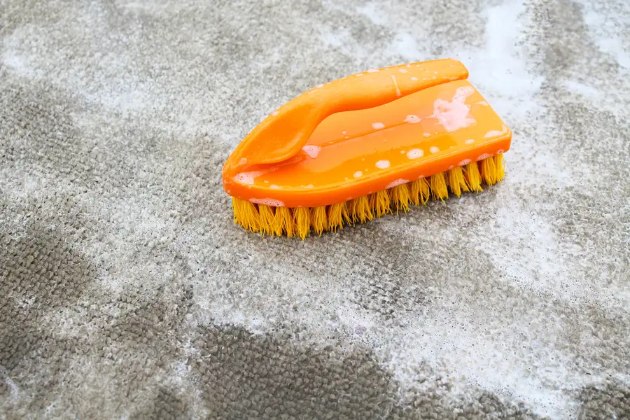 Experienced Carpet Shampooing in San Antonio, TX Experienced Carpet Shampooing in San Antonio, TX