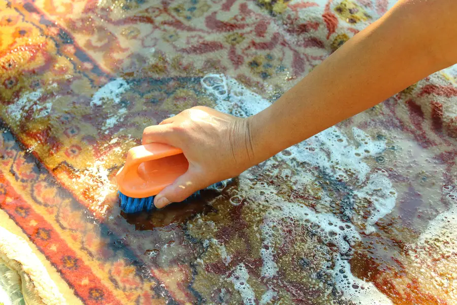 Quality Carpet Shampooing in San Antonio, TX Quality Carpet Shampooing in San Antonio, TX
