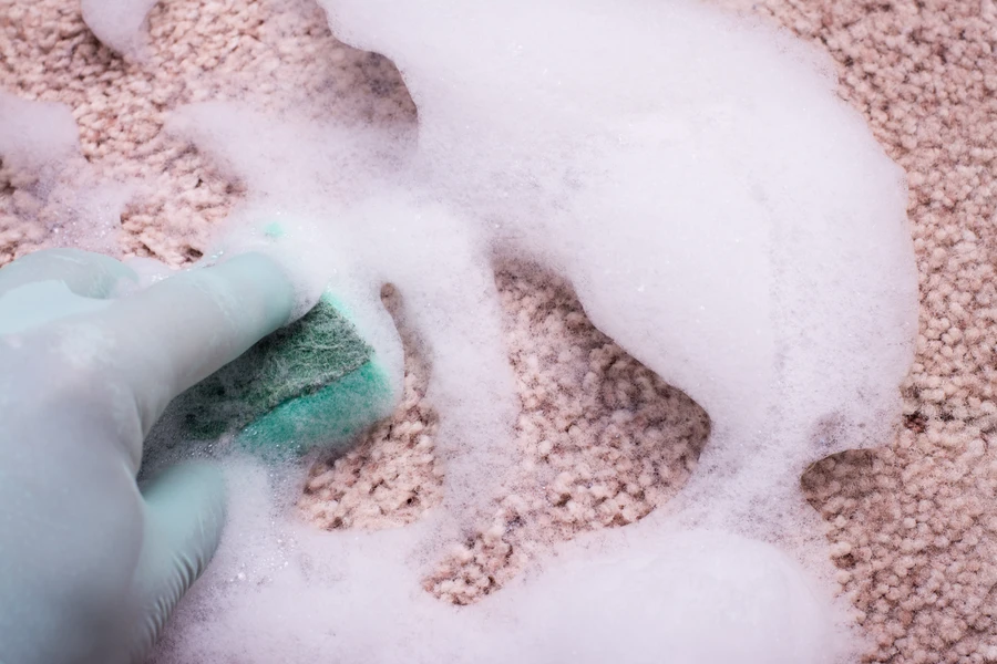 Superior Carpet Shampooing in San Antonio, TX Superior Carpet Shampooing in San Antonio, TX